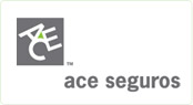 seguradora ace belo horizonte