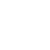 logo ciseski branco